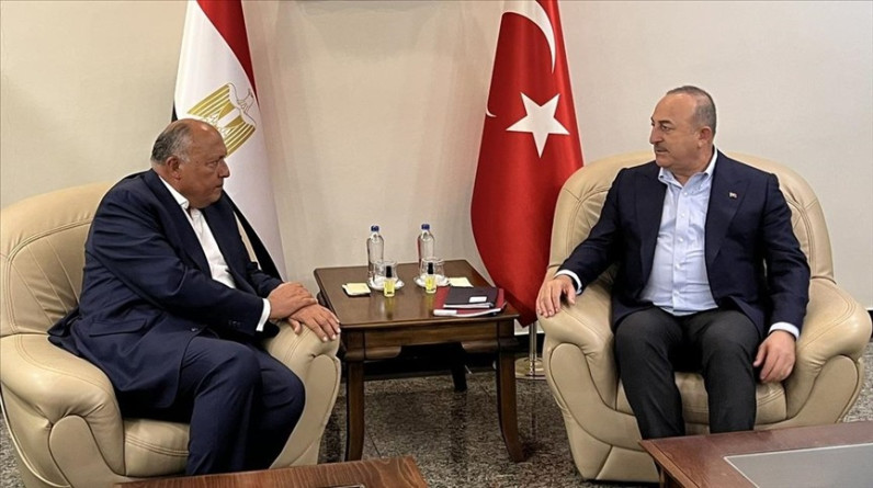 فيديو يُظهر عناقاً ومصافحة بين وزيري الخارجية التركي والمصري بنيويورك.. بحثا تطوير العلاقات